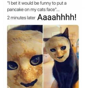 Stupid Bar Memes 12a3440410be4102