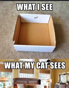 Stupid Bar Memes 160659ce51a86695