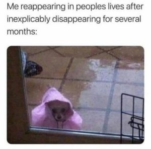 Stupid Bar Memes 161900482bceeff1