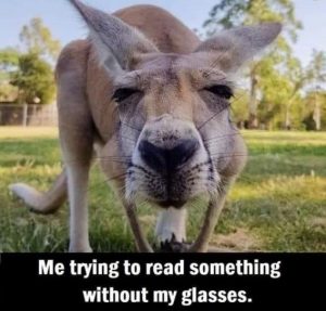 Stupid Bar Memes 1b171969b4f2349c