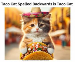 Stupid Bar Memes 1e715c91a19a724a