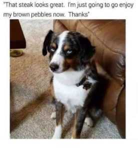 Stupid Bar Memes 1jPaDWu