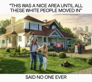 Stupid Bar Memes 2144261f993ca740