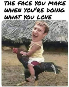 Stupid Bar Memes 27540a9a199c73fa