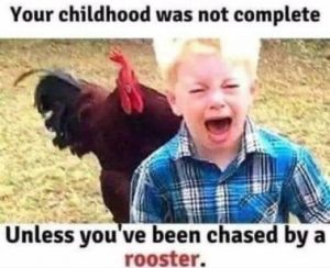 Stupid Bar Memes 2830c2f83e94b6af