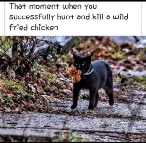 Stupid Bar Memes 2bcb8bad44b9d700