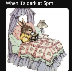 Stupid Bar Memes 2cecfd795c5e8946