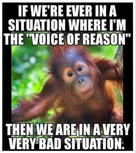 Stupid Bar Memes 2e2fdd324f72fa24