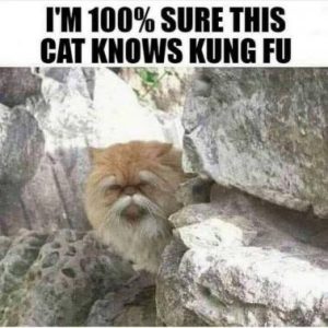 Stupid Bar Memes 3204feb10954f4e0