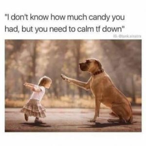 Stupid Bar Memes 33707af081c5fe2c