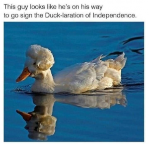Stupid Bar Memes 37b45b3830609529