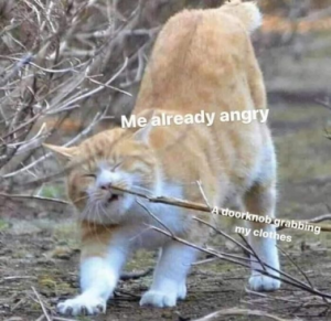 Stupid Bar Memes 39705f524ffab5ea