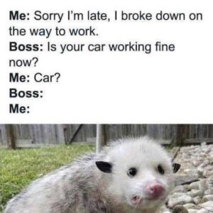 Stupid Bar Memes 3ae8b772088bdd9a