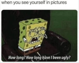 Stupid Bar Memes 3d9e0af90ca967bf