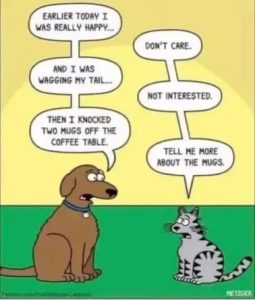 Stupid Bar Memes 3e0e4feeb725b0ae