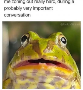 Stupid Bar Memes 3eFhVMV
