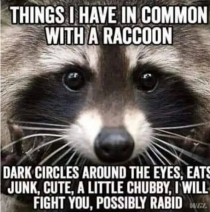 Stupid Bar Memes 3f525ee710bd5435