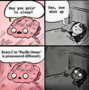 Stupid Bar Memes 41d54b89cb511cbf