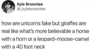Stupid Bar Memes 41df5a0a208c6869