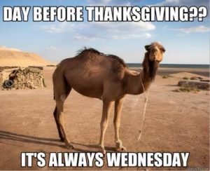 Stupid Bar Memes 44f090e39e618f9c