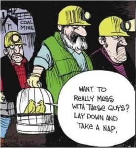 Stupid Bar Memes 460060a9cd6d3f53