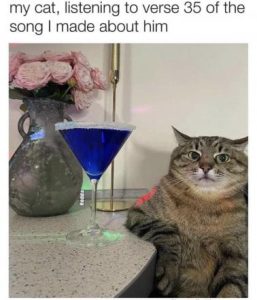 Stupid Bar Memes 47d0eba9e7ae1ae3