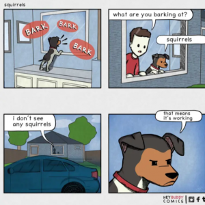 Stupid Bar Memes 4fadcb2122d6a31d