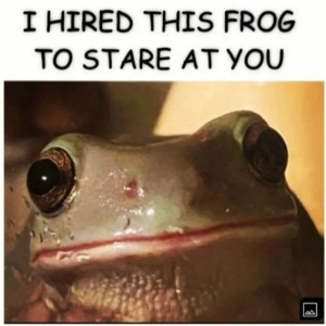 Stupid Bar Memes 4fd04f71452e4762