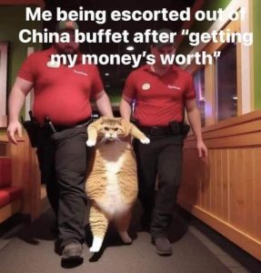 Stupid Bar Memes 565bc0eb5a514469