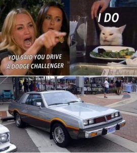 Stupid Bar Memes 57171786bef46988