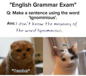 Stupid Bar Memes 5737a0de72a695ee