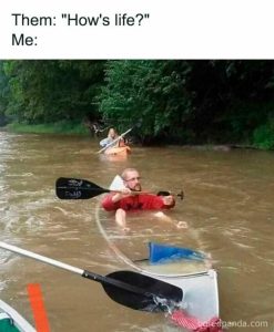 Stupid Bar Memes 59b908c3924367e7