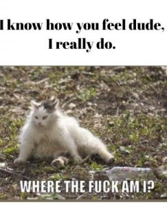 Stupid Bar Memes 5e634ea59013534a