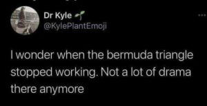 Stupid Bar Memes 5ea418e94fd3770d
