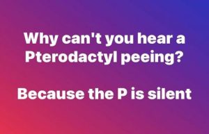 Stupid Bar Memes 600cbaea12e172c6