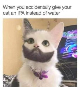 Stupid Bar Memes 61cd681c165441dc
