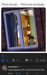 Stupid Bar Memes 62d807890bb2f1fc