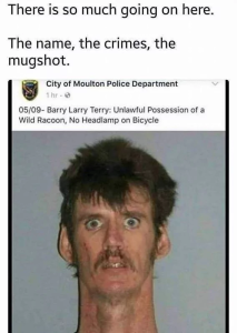 Stupid Bar Memes 654e189e34b0b