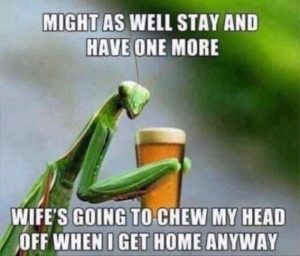 Stupid Bar Memes 65601a4e35cc6b9a