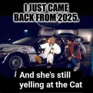 Stupid Bar Memes 66a45fc5c9691aa9