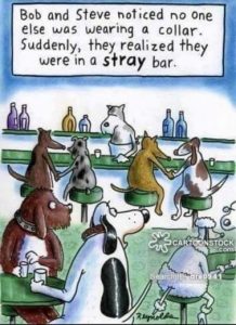 Stupid Bar Memes 6e1a3000cf934023