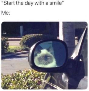 Stupid Bar Memes 6f729b0f03d1a094