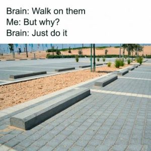 Stupid Bar Memes 71ab2e3ddedbb613