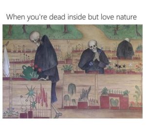 Stupid Bar Memes 72xRDhw