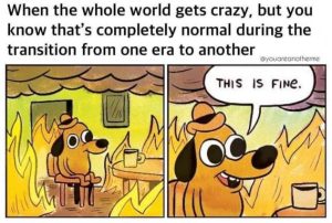 Stupid Bar Memes 74c0f9b22f068920