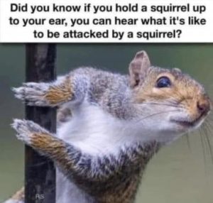 Stupid Bar Memes 7813c070ec2c8ae6