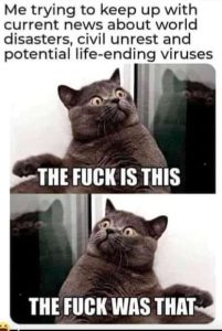 Stupid Bar Memes 7884d04ff63f8263