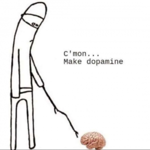 Stupid Bar Memes 78926223242ccffa