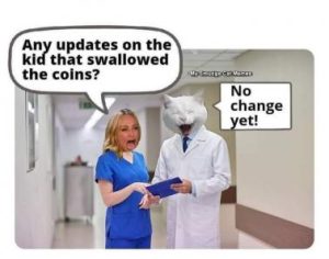 Stupid Bar Memes 799771d4ac2660f4