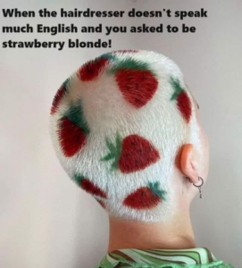 Stupid Bar Memes 79f42f09e68c56f1